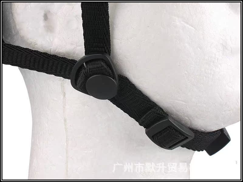 2013917165452832_conew1