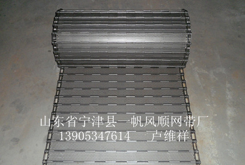链板输送带、不锈钢链板输送带、不锈钢输送带!-309