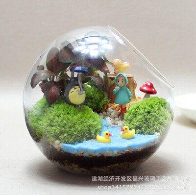 厂家直销苔藓微景观玻璃生态瓶 大小圆形玻璃瓶 斜口玻璃瓶批发|ms