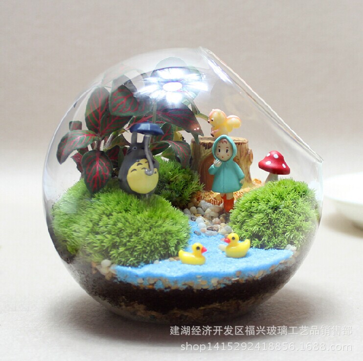 厂家直销苔藓微景观玻璃生态瓶 大小圆形玻璃瓶 斜口玻璃瓶批发|ms