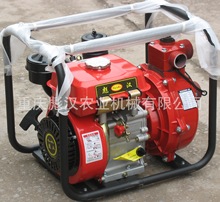 168柴油機水泵 重慶小型柴油機水泵廠  重慶彪漢農業機械有限公司