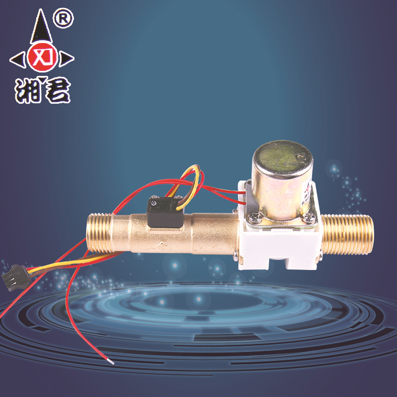 热销供应 全铜水控机直通式电磁阀 计时型水控机高温电磁阀