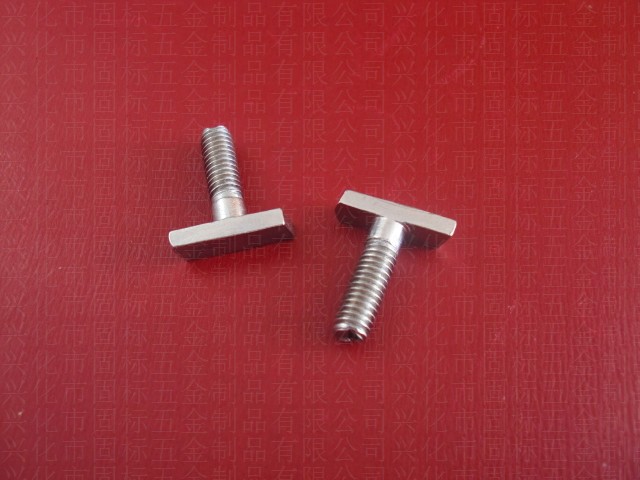 不锈钢T型螺栓 (7)