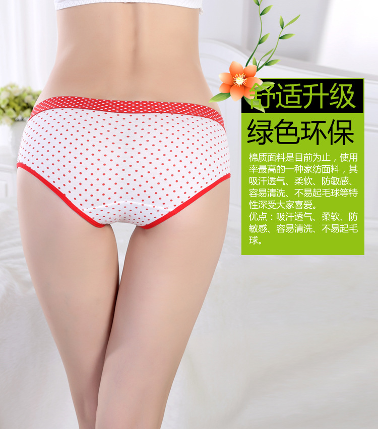 Slip jeunesse simple en coton - Ref 647164 Image 10