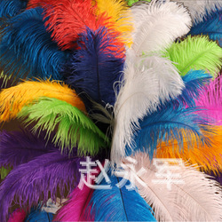 T1MHT7Xe0XXXaKg82a_122211.jpg_