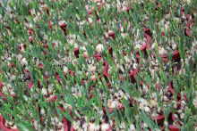 ����ֱ�Nˮ�ɻ�ˮ��N���k���ҾӲ���(A180#)ˮ�ɻ��N��