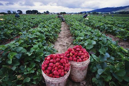 u=3740467442,4032344957&fm=23&