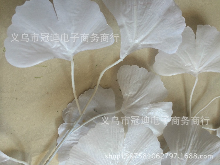 TB2Zc6raXXXXXb3XXXXXXXXXXXX_!!