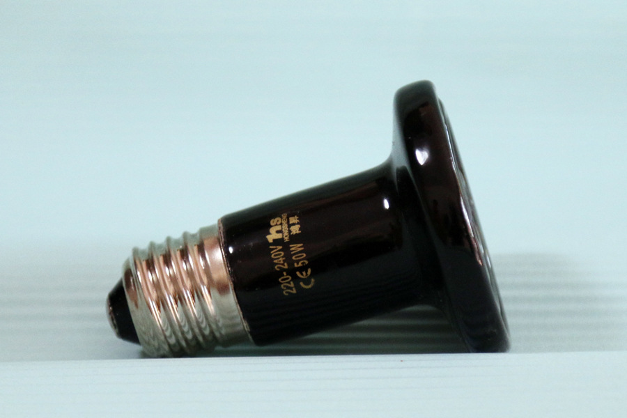 8b926982546e29acc1b20b2b843895