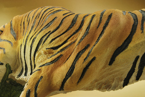 bd468a9cd0c366ea89cd05cada9fb5