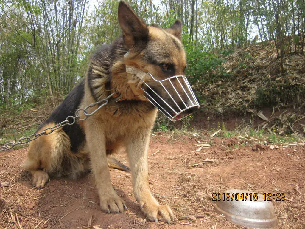 Чехол для собачьего рта, маска для собак, чехол для собачьего рта