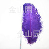 Spot supply ostrich hair 50-55cm color wedding performance ostrich feathers