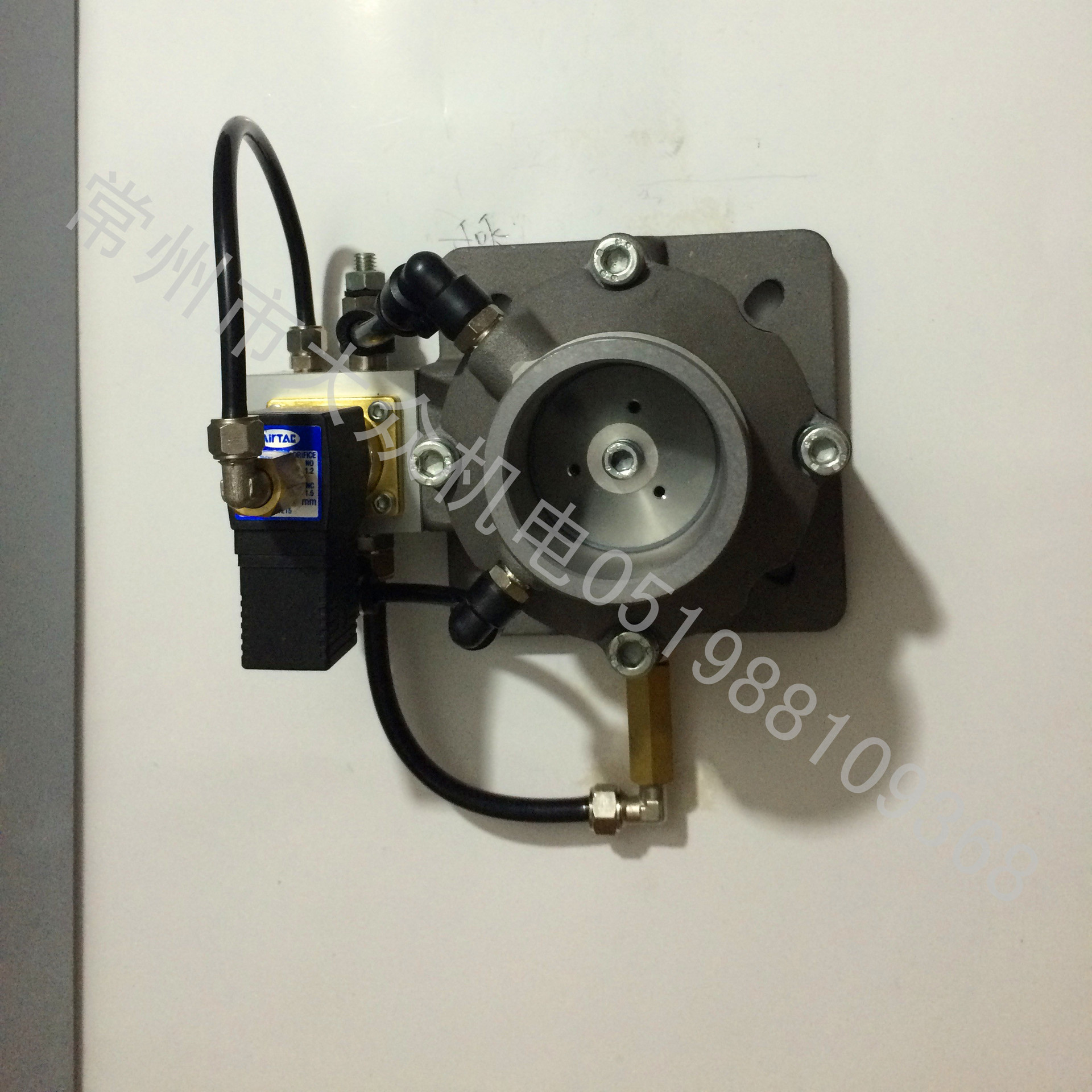 My PicturesIMG_1993 (1)_副本