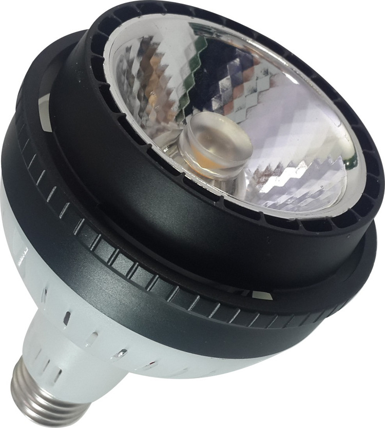 PAR30-私模灯具 (1)