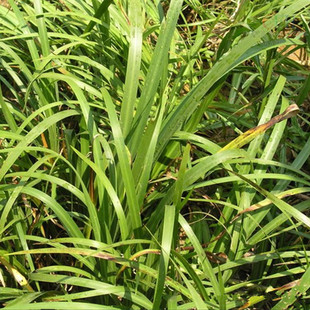 �����ع����̡������N�۸��Nˮ��ֲ���߅����С��r��͚gӭ�xُ