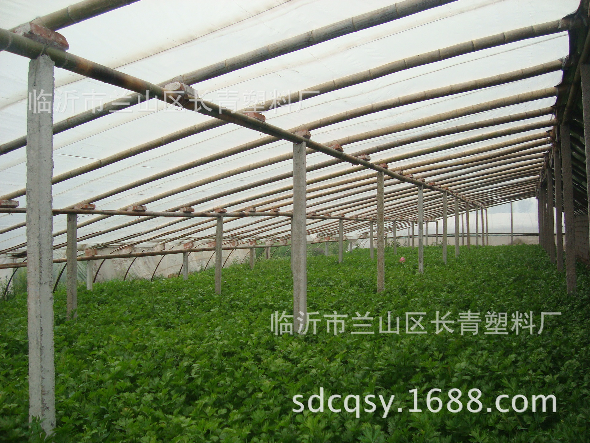 蔬菜大棚无滴膜