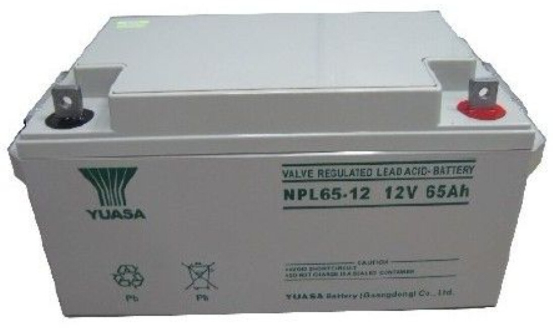 NPL65-12-��D