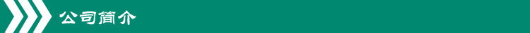公司簡介09