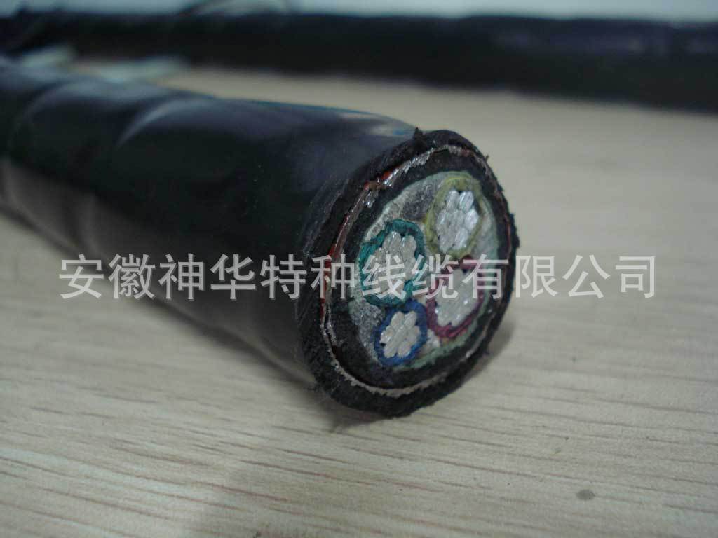 架空电缆 (9)