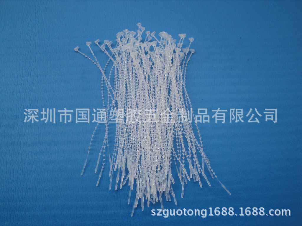 1573061264_1780032211