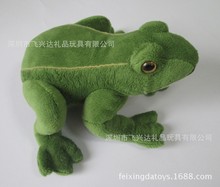 毛绒玩具加 工厂青蛙逼真形象动物高质量毛绒公仔