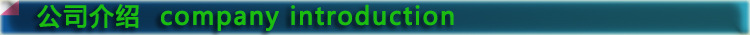 公司簡介