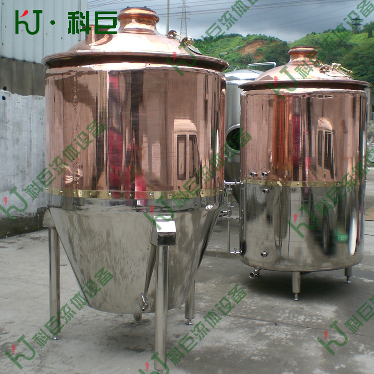 电加热发酵罐 不锈钢发酵罐