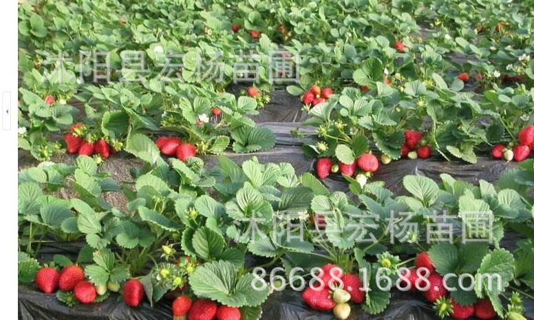 QQ图片20020105114157