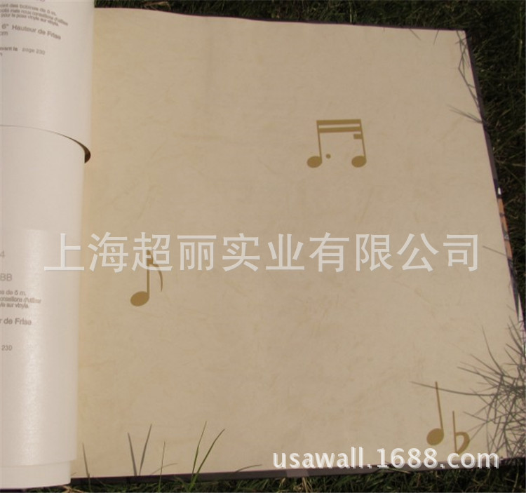 TH20707 P246