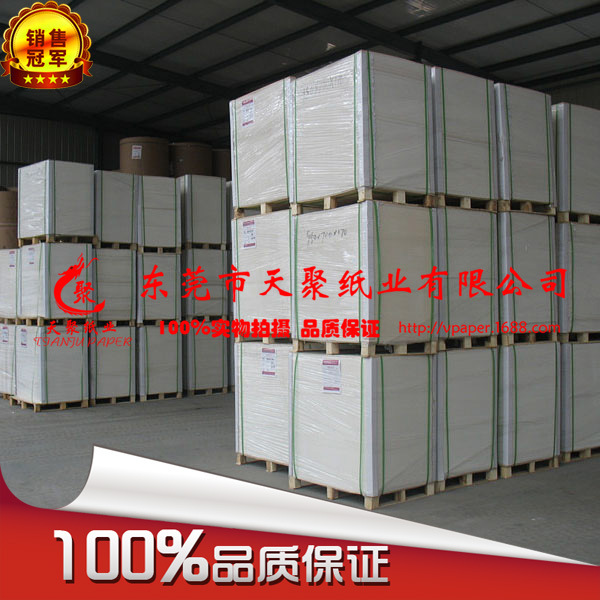 天聚纸业 (273)副本