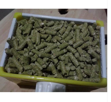 Benitez Aibo formula formula Totoro foodstuff 500g Totoro feed Mazu Rui formula Totoro Food