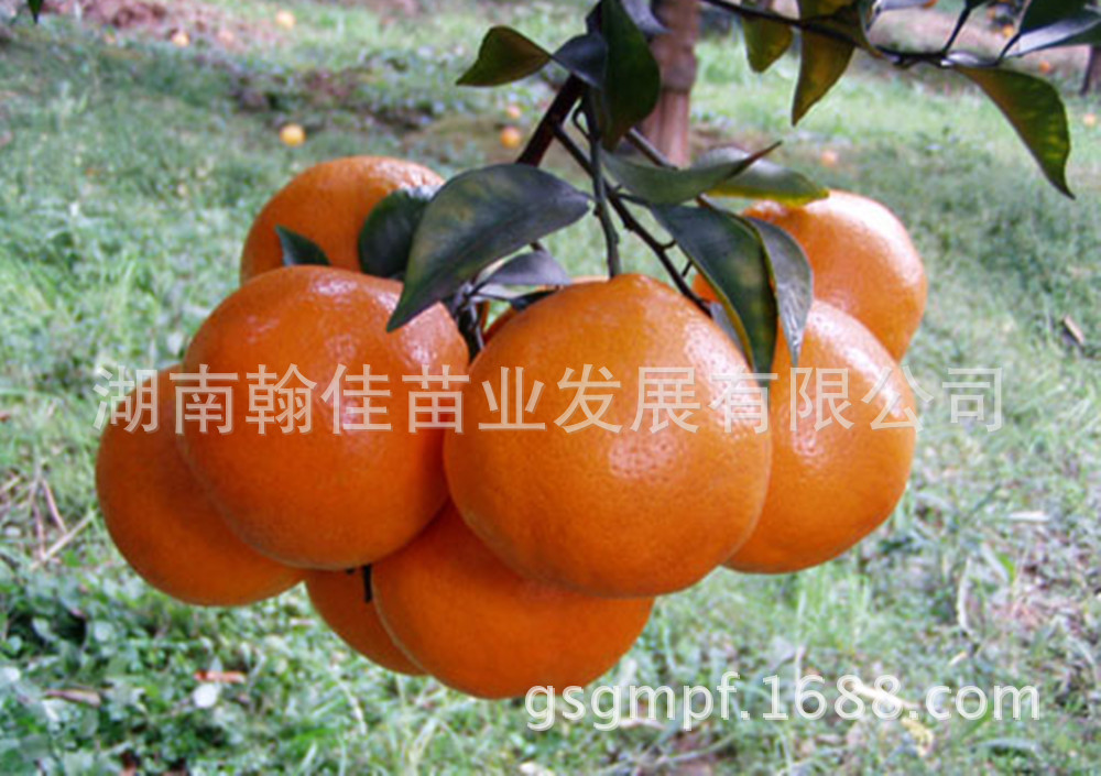 1376558480814_副本