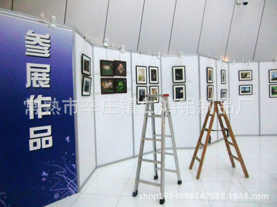 学校毕业生书画摄影作品展览专用挂画展板|ms