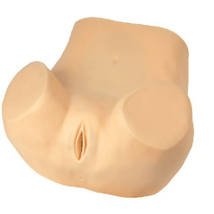 高级妇科训练模型