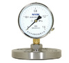Flanged Septum Pressure gauge YTP-100MF , DN40 Stainless steel Flanged Surface 100mm