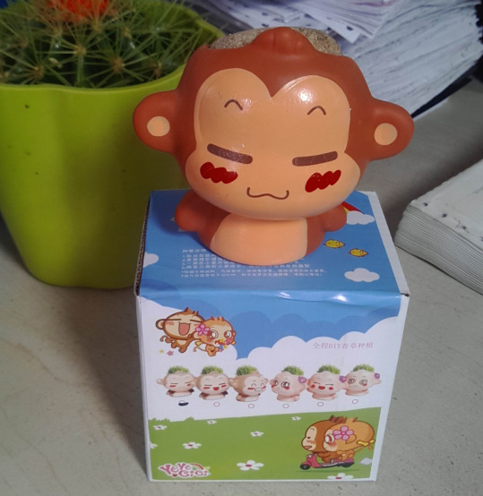 悠嘻猴草娃娃-初.jpg包裝