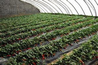 u=1109361577,460897534&fm=21&g