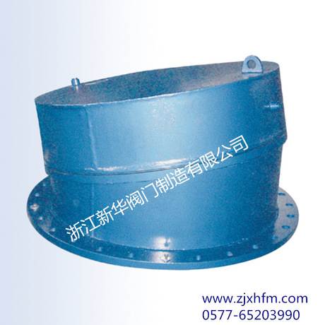 厂家批发污水拍门 法兰碳钢拍门 浙江厂家直销圆形污水拍门