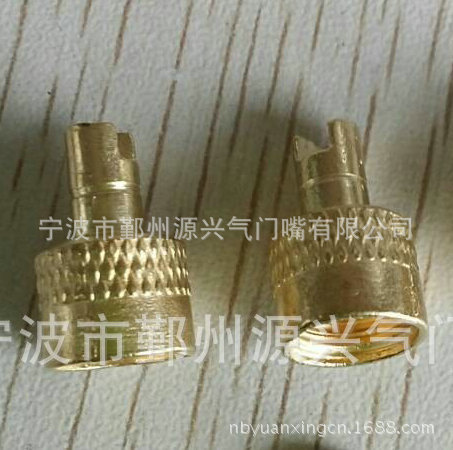 1123995157_175267585