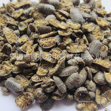 ���l������D�x ���x