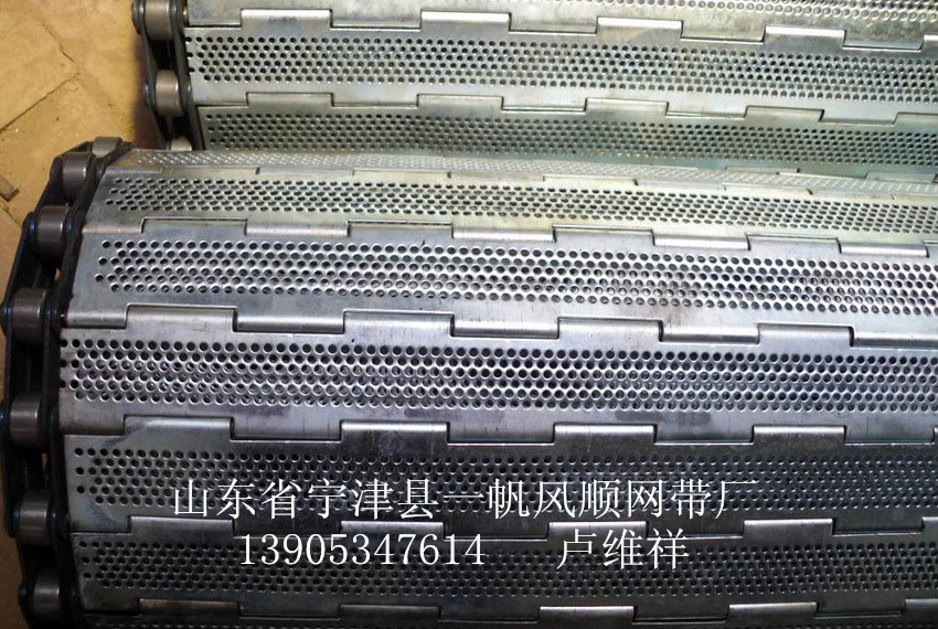 (北方大型加工制造基地)清洗机链板、烘干机链板!-223