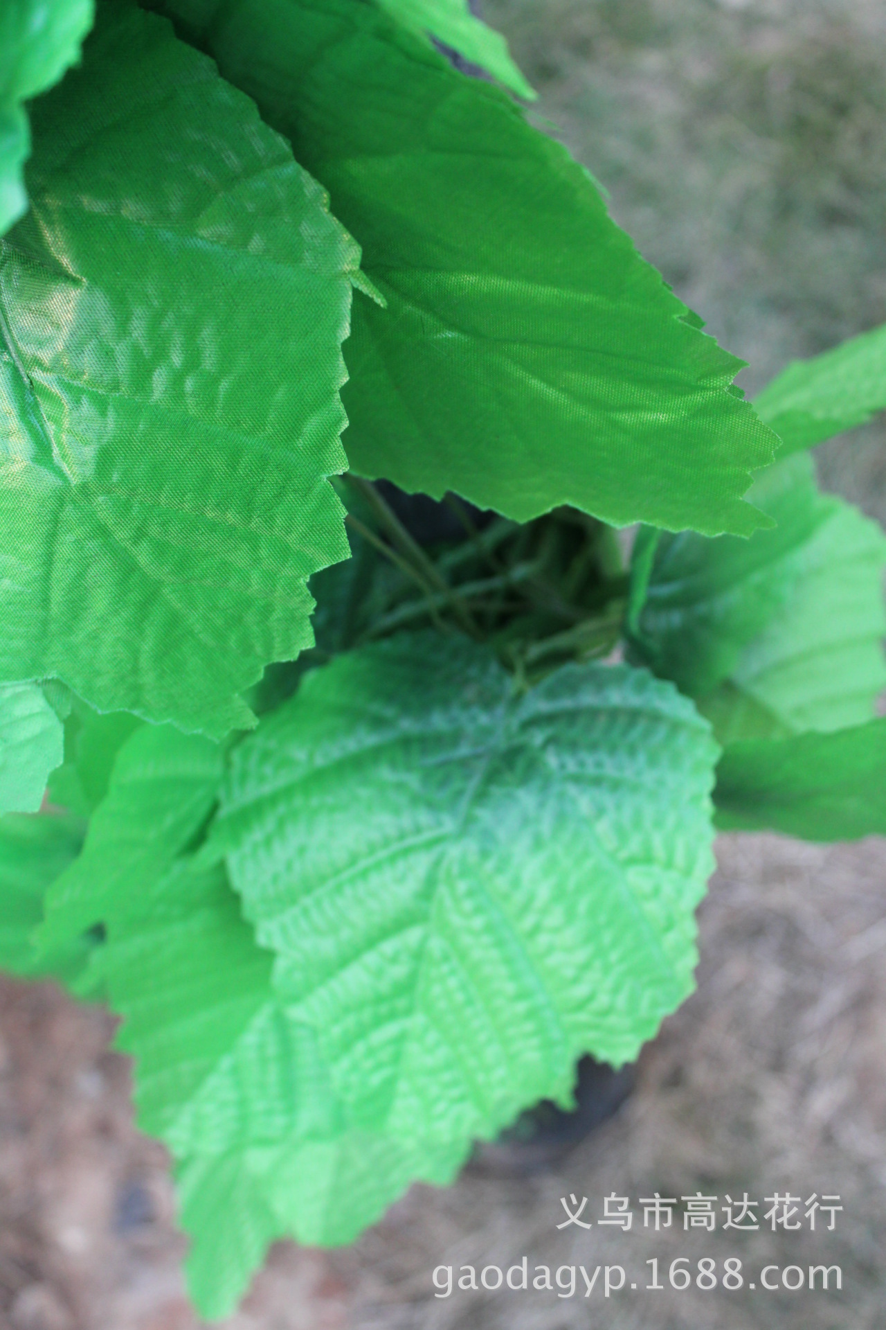 9#特大葡萄叶
