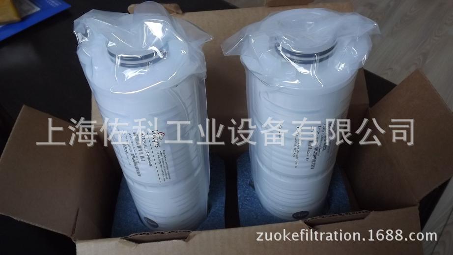 供应Entegris耐溶剂滤芯 CTFV01TPE四氟滤芯 高纯化学品过滤系统