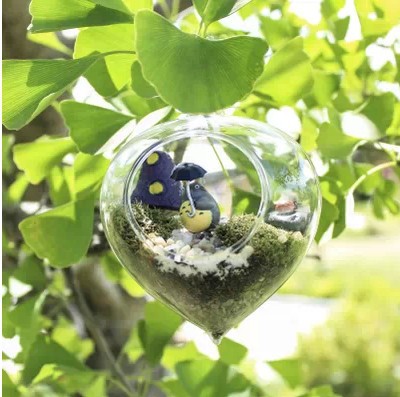 Micro -landscape hanging bottle transparent ecological glass…