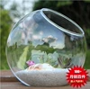 Maximum diameter 8cm