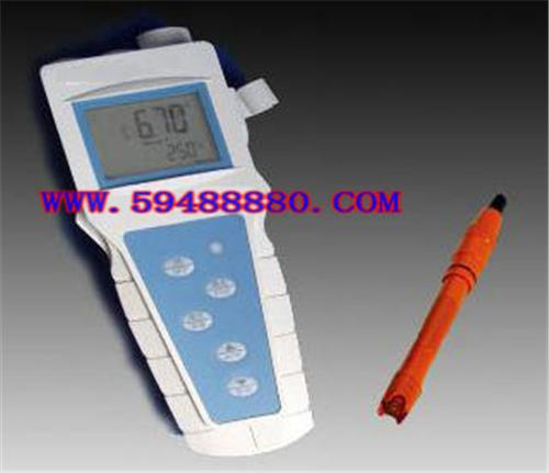 便携式溶解氧分析仪