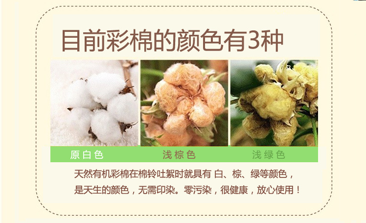 彩棉的顏色