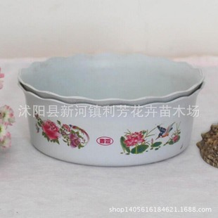 ˮ���� ���ϻ��� �A��/Ҭ�A��/���� ˮ�ɻ��� �������l