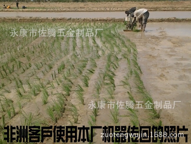 非洲马里_conew1