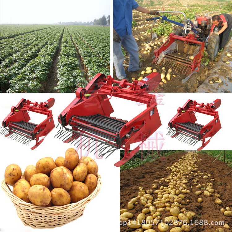 土豆收货机好用的 单人操作 花生收获机